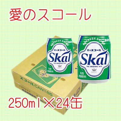 愛のスコール　250ml×24缶　【賞味期限 2023/05/07】　81-5