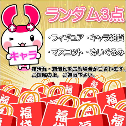 ぽちくれ福袋(3アイテム入)　※箱ダメ―ジ品含む 1-1