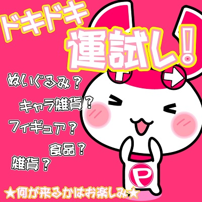 【単品発送不可】★チケットOK★ドキドキ！運試し！～『スタッフ厳選景品１点』～