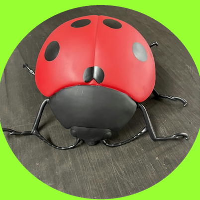 ＜Price Down＞昆虫BIGフィギュア　ナナホシテントウ　33-1
