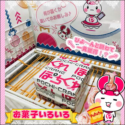 【単品発送不可】（びよーん）お菓子いろいろMIX(何が届くかお楽しみ)【賞味期限(最短):2023/05/25】 99(23/03/17)