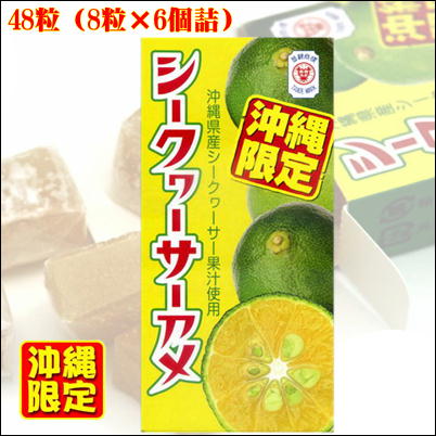 ＜Price Down＞★沖縄フェア★沖縄限定シークヮーサーアメ【賞味期限： 2023/10/08】Ⓣ23-1　(23/04/12)