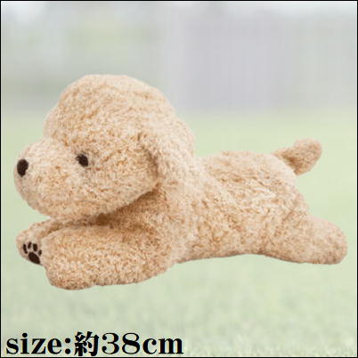 【バニラ】stuffed トイプードル Vanilla mocha