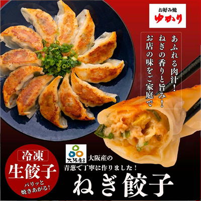 大阪・梅田「お好み焼きゆかり」 ネギ餃子(20個入り)　※購入サイト直送になります・配送日時指定不可(β)