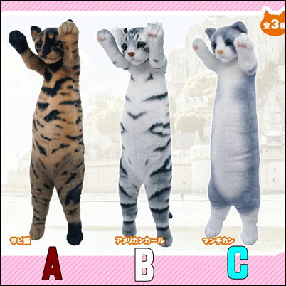 ★Tickets OK★【B American Curl】Tatchi Zoo Cats 3