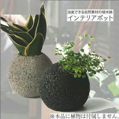 ★Ticket OK★Basic interior pot (large)