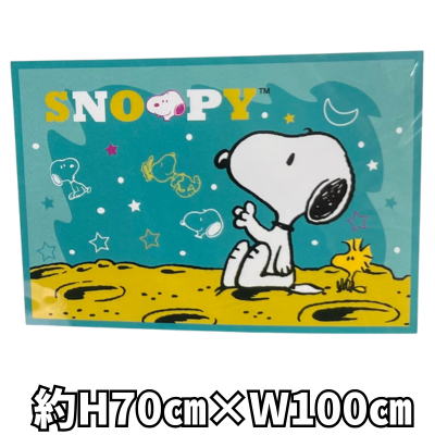 [Space] Snoopy Throw