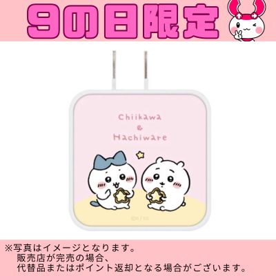 Gourmandise Chiikawa USB Type-C AC Adapter (Direct delivery, delivery date and time cannot be specified)