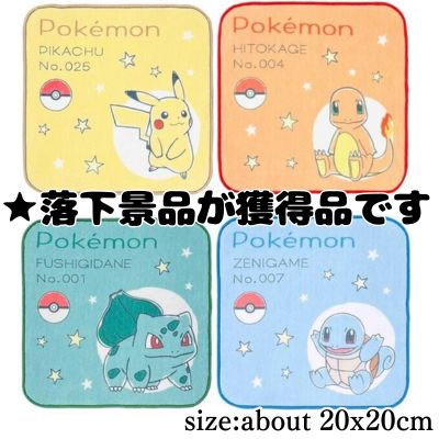 ■Pokémon Petit Towel Stitch