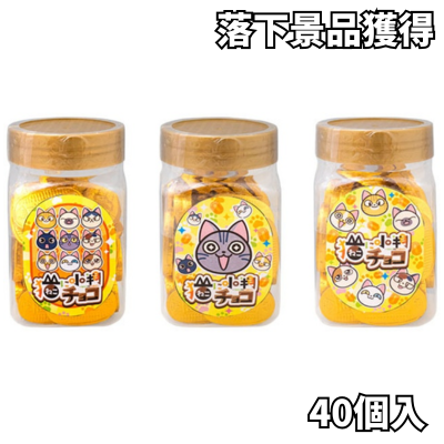 ■ 40 oval chocolates for cats [Best before: 2027/01]