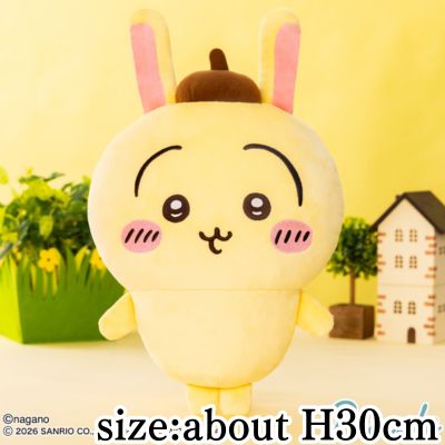 [Rabbit x Pompompurin] Chiikawa x Sanrio Characters Big Plush Toy②