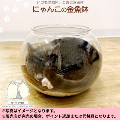 ◆☆Limited-time prize at the beginning of the month☆Cat-shaped goldfish bowl *Direct delivery - delivery date and time cannot be specified
