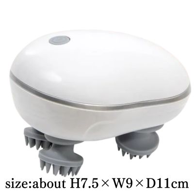 Electric Scalp Brush Reclear