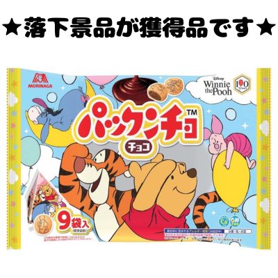 ■ Pack'n'Cho Chocolate Large Bag [Best Before: 2027/02]