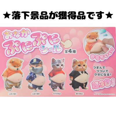 ■ Squishy tummy stickers (4 types)