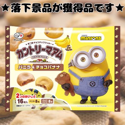 ■ Fujiya Country Ma'am (Vanilla & Chocolate Banana) [Best Before: Feb. 2027]